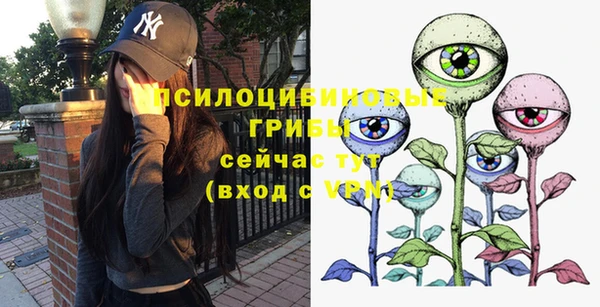 ешки Бугульма